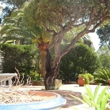 House Tres Belle Provencale Avec Vue Mer * Cavalaire-sur-Mer